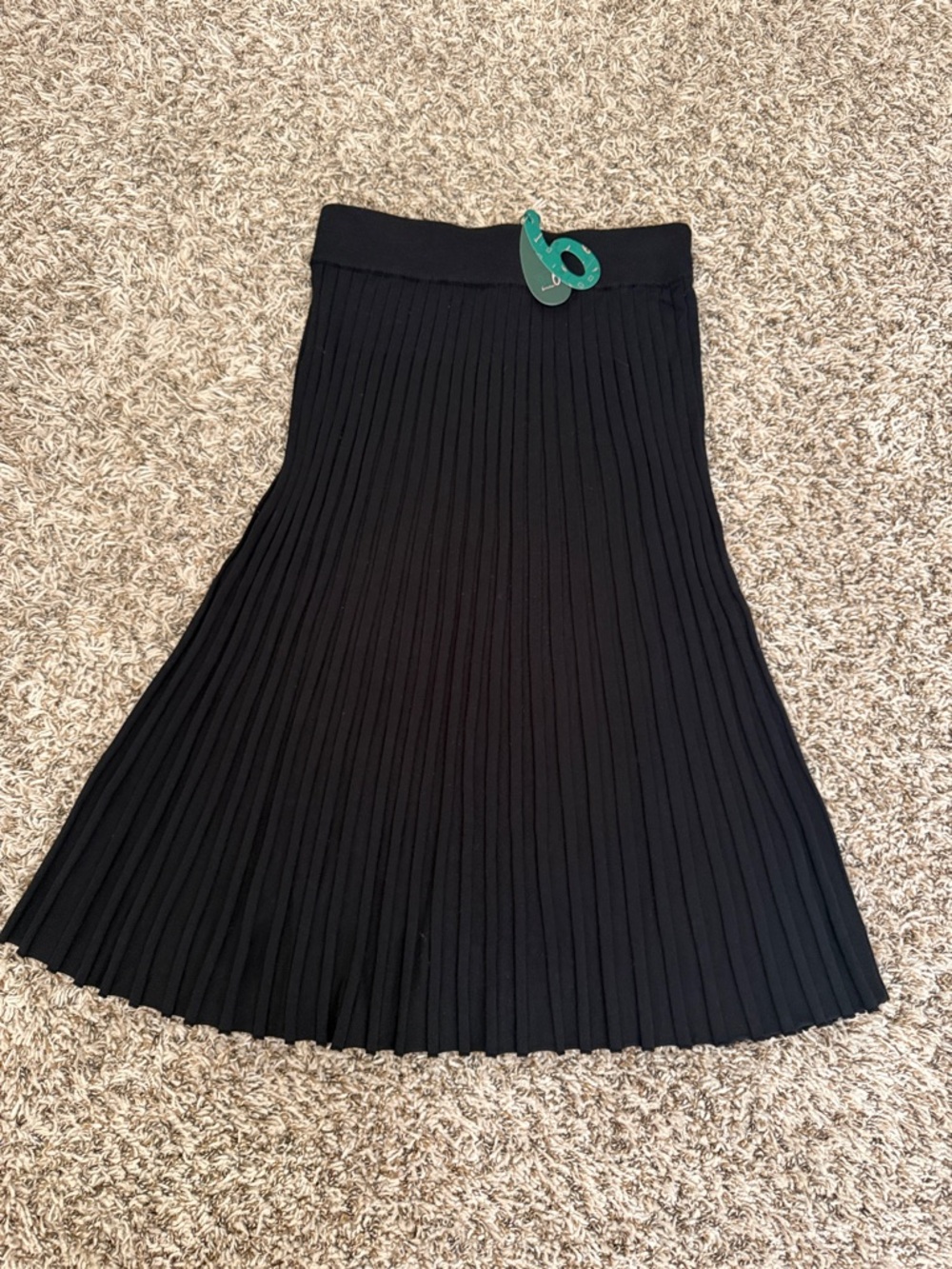 Women's Black Pleated A-Line Skirt by